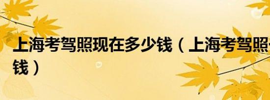 上海考驾照现在多少钱（上海考驾照一般多少钱）