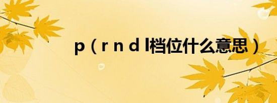 p（r n d l档位什么意思）