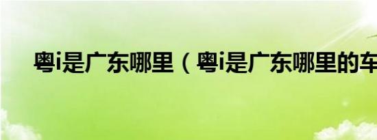 粤i是广东哪里（粤i是广东哪里的车牌）