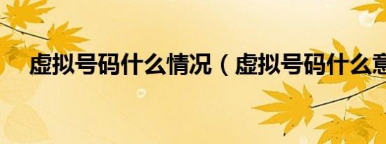 虚拟号码什么情况（虚拟号码什么意思）