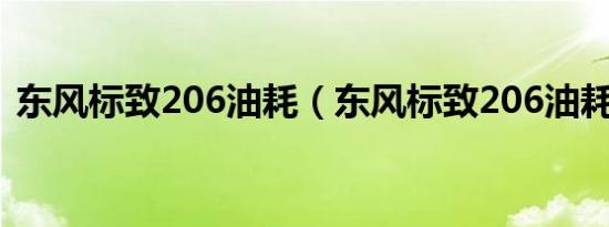 东风标致206油耗（东风标致206油耗多少）