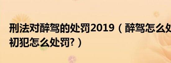 刑法对醉驾的处罚2019（醉驾怎么处罚2019初犯怎么处罚?）