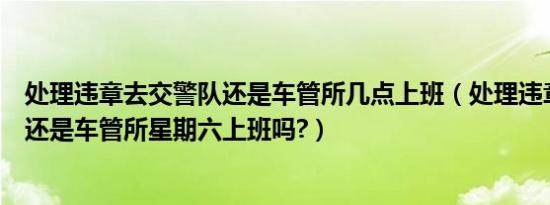 处理违章去交警队还是车管所几点上班（处理违章去交警队还是车管所星期六上班吗?）