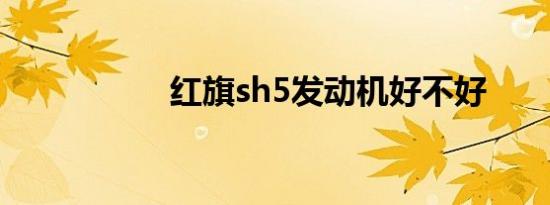 红旗sh5发动机好不好