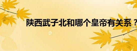 陕西武子北和哪个皇帝有关系？