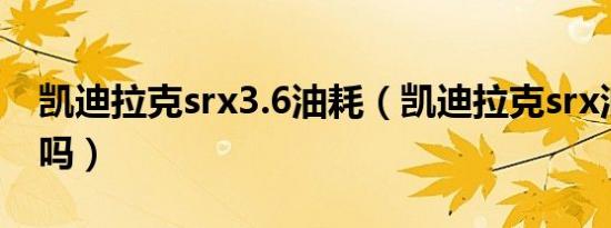 凯迪拉克srx3.6油耗（凯迪拉克srx油耗可怕吗）