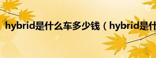 hybrid是什么车多少钱（hybrid是什么车）