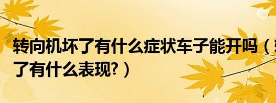 转向机坏了有什么症状车子能开吗（转向机坏了有什么表现?）