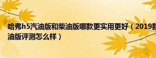 哈弗h5汽油版和柴油版哪款更实用更好（2019款哈弗h5柴油版评测怎么样）