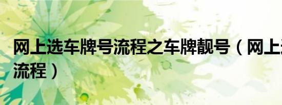 网上选车牌号流程之车牌靓号（网上选车牌号流程）