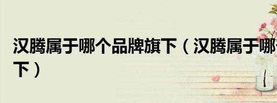 汉腾属于哪个品牌旗下（汉腾属于哪个品牌旗下）