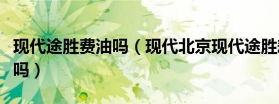 现代途胜费油吗（现代北京现代途胜耗油量大吗）