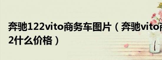 奔驰122vito商务车图片（奔驰vito商务车122什么价格）
