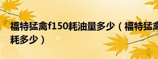 福特猛禽f150耗油量多少（福特猛禽f750油耗多少）
