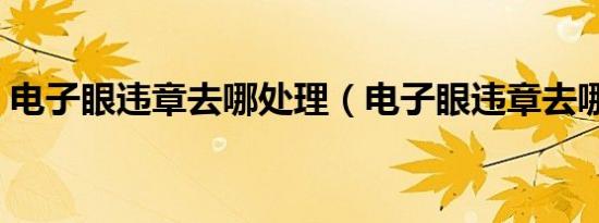 电子眼违章去哪处理（电子眼违章去哪处理）