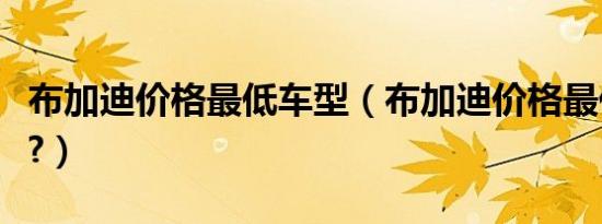 布加迪价格最低车型（布加迪价格最低多少钱?）