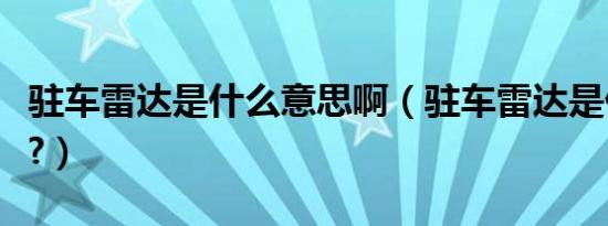 驻车雷达是什么意思啊（驻车雷达是什么意思?）