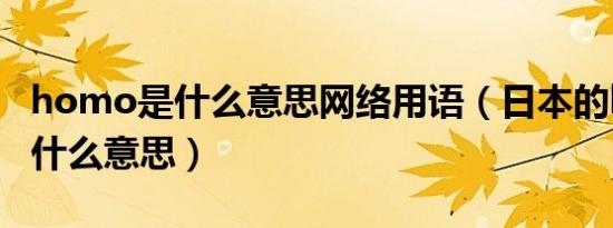 homo是什么意思网络用语（日本的homo是什么意思）