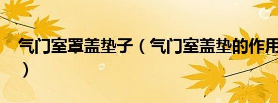 气门室罩盖垫子（气门室盖垫的作用是什么?）