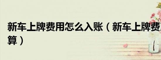 新车上牌费用怎么入账（新车上牌费用怎么计算）