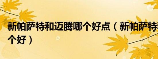 新帕萨特和迈腾哪个好点（新帕萨特和迈腾哪个好）