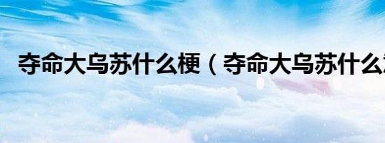 夺命大乌苏什么梗（夺命大乌苏什么意思）