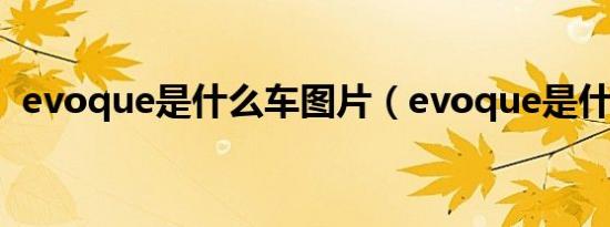 evoque是什么车图片（evoque是什么车）