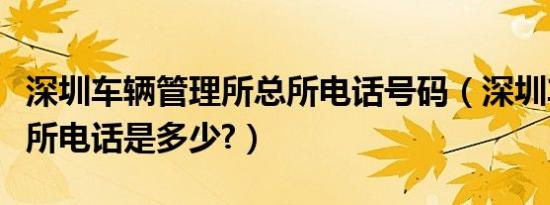 深圳车辆管理所总所电话号码（深圳车辆管理所电话是多少?）