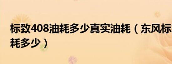 标致408油耗多少真实油耗（东风标志408油耗多少）