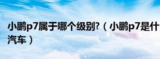 小鹏p7属于哪个级别?（小鹏p7是什么级别的汽车）