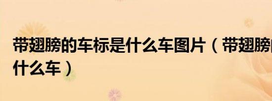带翅膀的车标是什么车图片（带翅膀的车标是什么车）