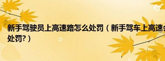新手驾驶员上高速路怎么处罚（新手驾车上高速会受到什么处罚?）