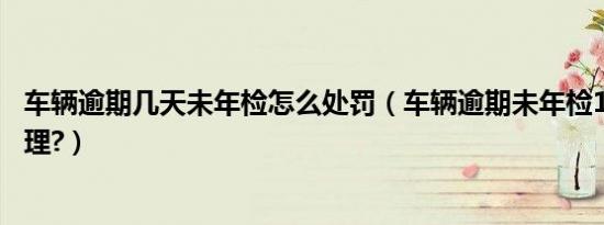 车辆逾期几天未年检怎么处罚（车辆逾期未年检10天怎么处理?）
