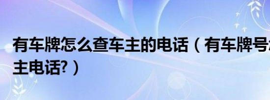 有车牌怎么查车主的电话（有车牌号怎么查车主电话?）