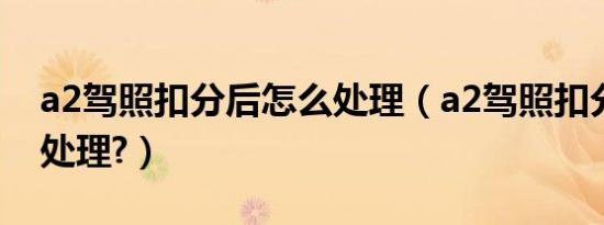 a2驾照扣分后怎么处理（a2驾照扣分后怎么处理?）
