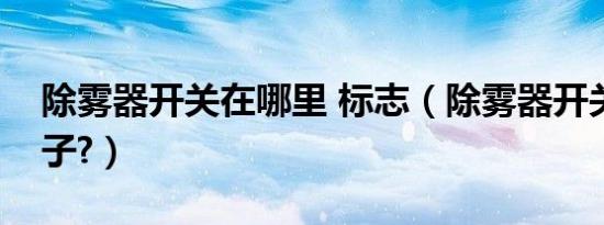 除雾器开关在哪里 标志（除雾器开关什么样子?）