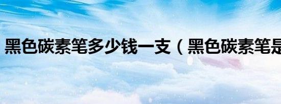 黑色碳素笔多少钱一支（黑色碳素笔是什么）