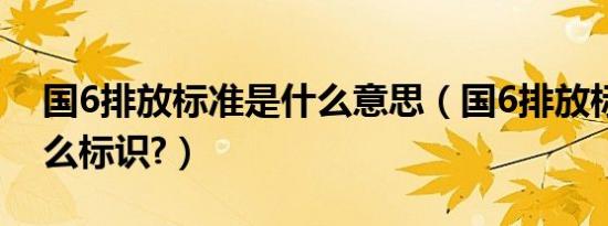 国6排放标准是什么意思（国6排放标准是什么标识?）