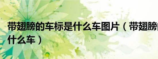 带翅膀的车标是什么车图片（带翅膀的车标是什么车）