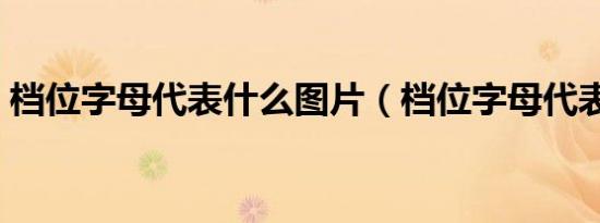 档位字母代表什么图片（档位字母代表什么）