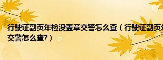 行驶证副页年检没盖章交警怎么查（行驶证副页年检没盖章交警怎么查?）