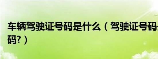 车辆驾驶证号码是什么（驾驶证号码是什么号码?）