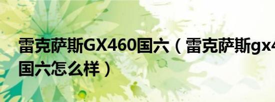 雷克萨斯GX460国六（雷克萨斯gx400新款国六怎么样）