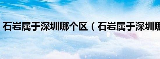 石岩属于深圳哪个区（石岩属于深圳哪个区）