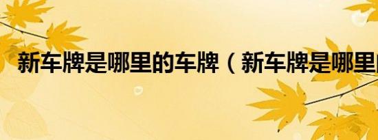 新车牌是哪里的车牌（新车牌是哪里的车）