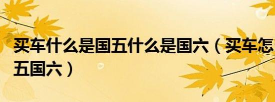 买车什么是国五什么是国六（买车怎么区分国五国六）