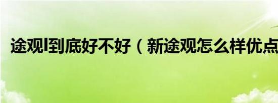 途观l到底好不好（新途观怎么样优点缺点）