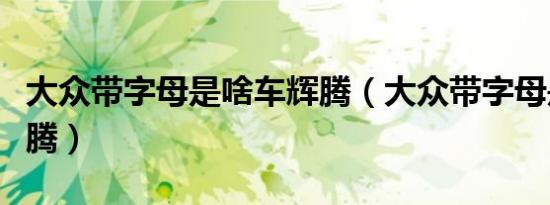 大众带字母是啥车辉腾（大众带字母是啥车辉腾）