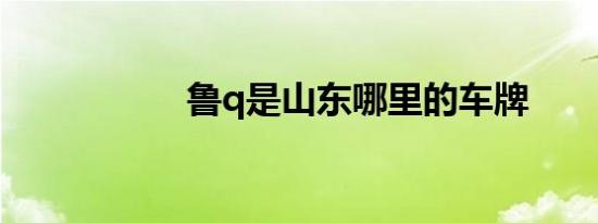 鲁q是山东哪里的车牌