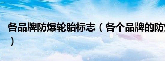 各品牌防爆轮胎标志（各个品牌的防爆胎标志）